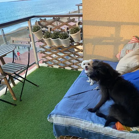 Numancia1-2b Appartement Las Palmas