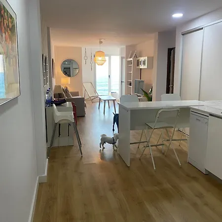 Numancia1-2b * Las Palmas