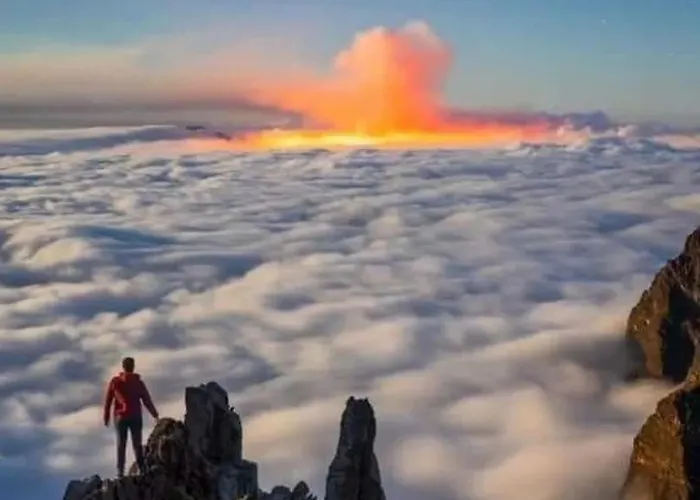 Апартаменти Numancia1-2b