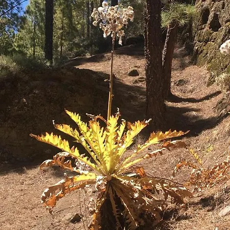 Numancia1-2b Appartamento