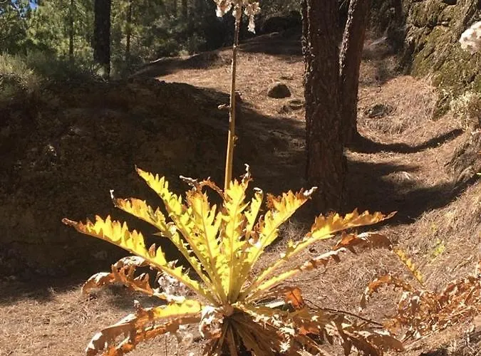 Numancia1-2b Apartament