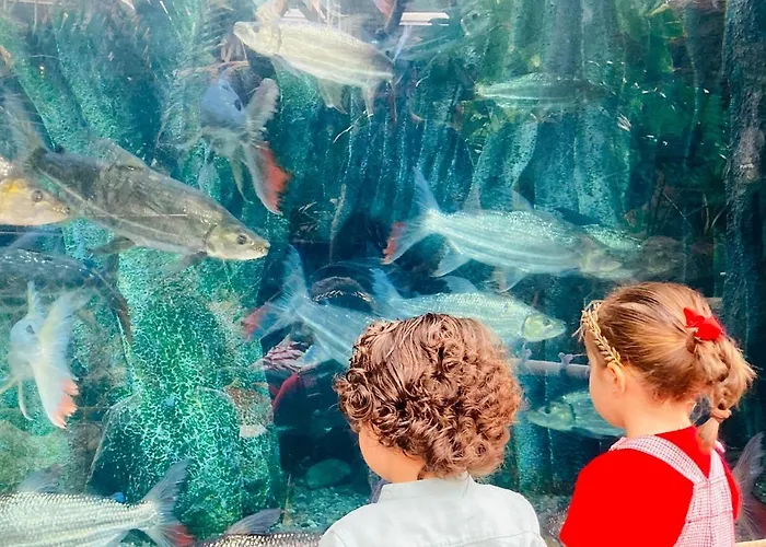 Apartament Numancia1-2b *